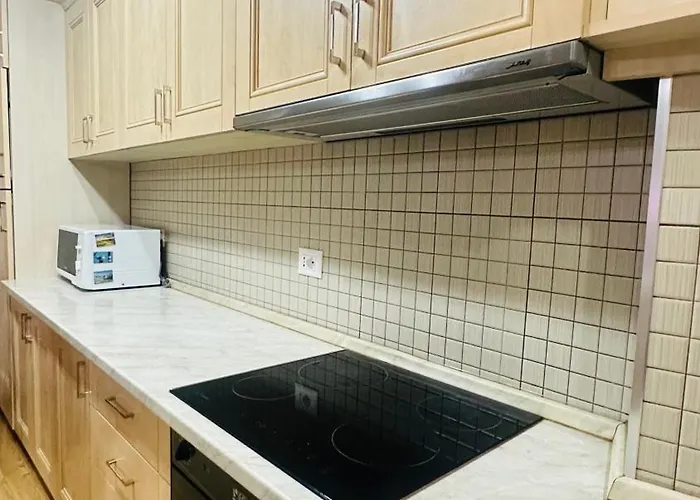 Apartment Duplex Apartment-balcony-city Center -7 Guests *