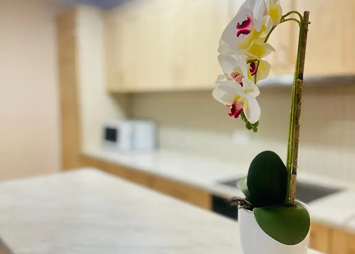 Duplex Apartment-balcony-city Center -7 Guests *