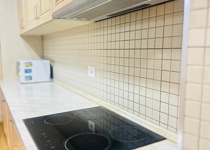 Duplex Apartment-balcony-city Center -7 Guests * ティラナ